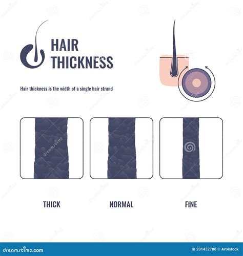 thick hair thread test|thick hair type.